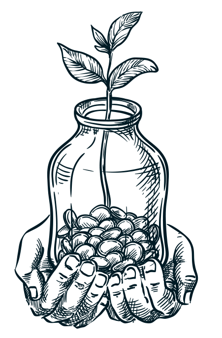 A line drawing of two hands holding a jar of coins with a plant sprouting out of the top to illustrate growth