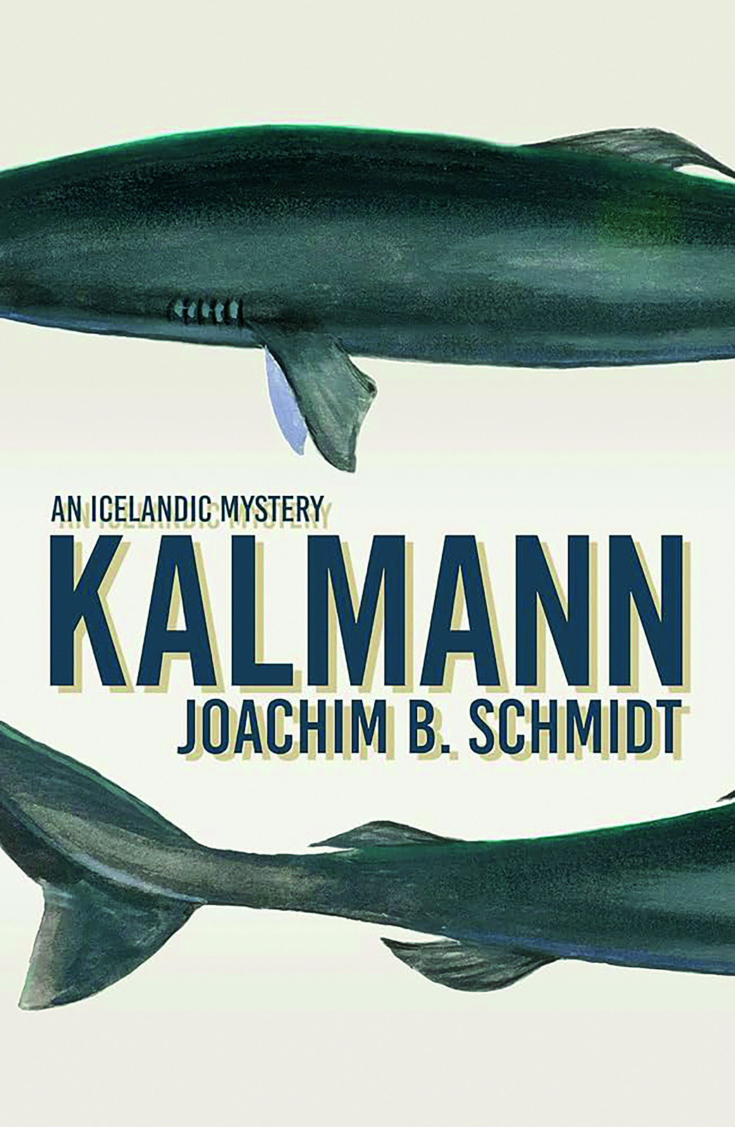 Kalmann – an Icelandic Mystery, Joachim B. Schmidt