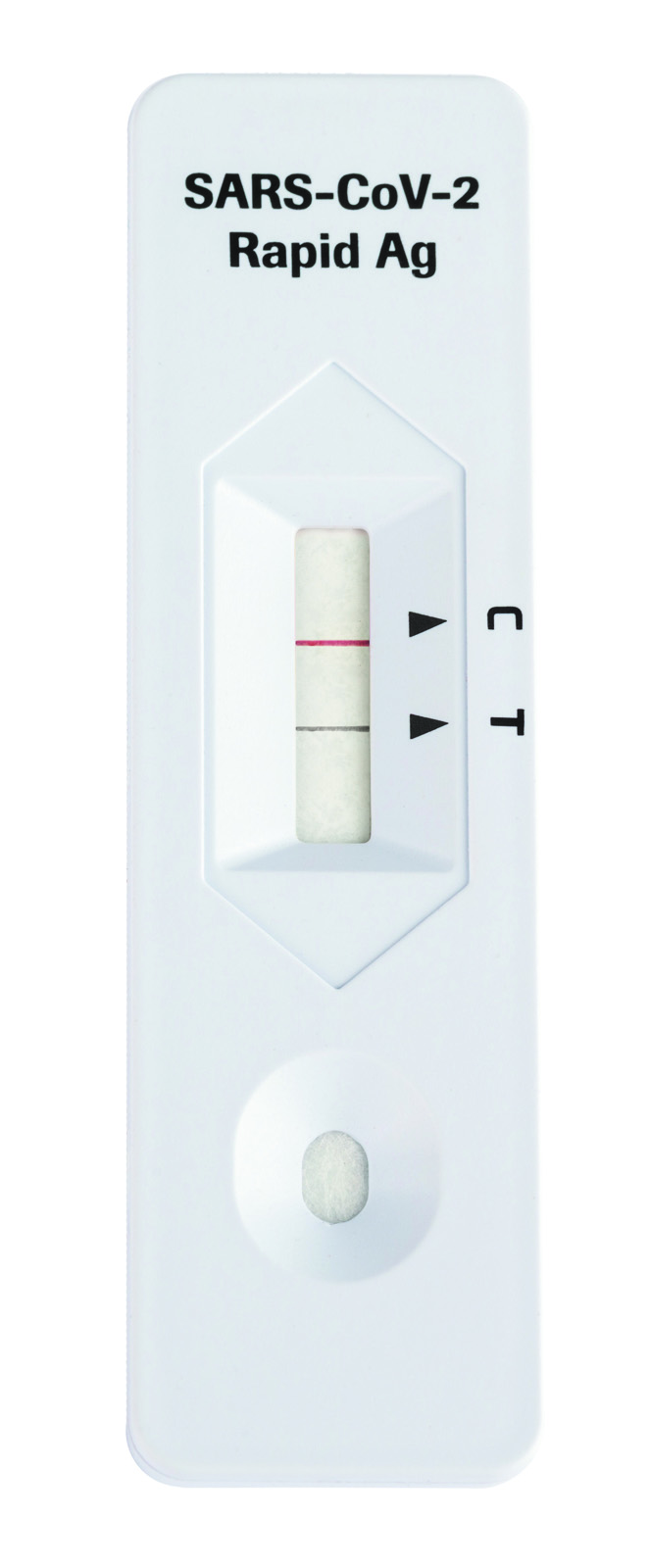 Close up of a positive COVID-19 lateral flow test